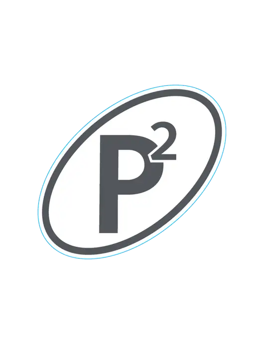 P2 Defense Large Decal (6" w)